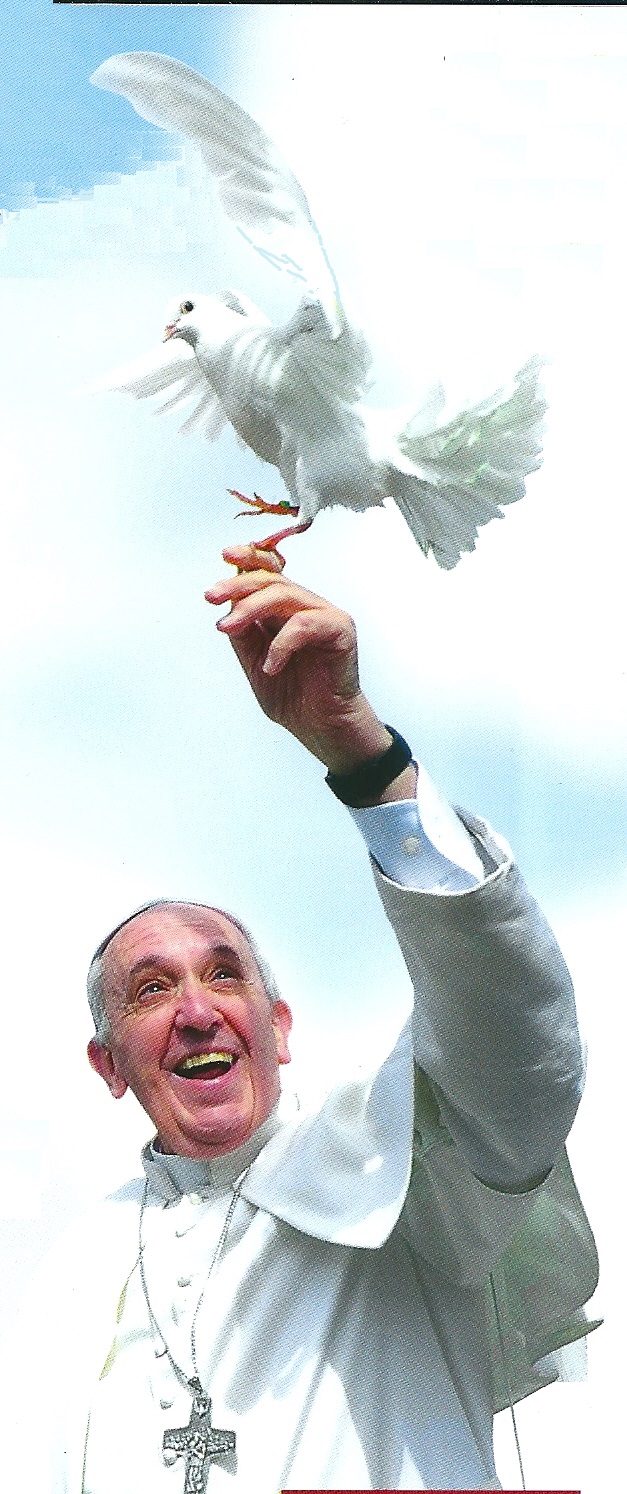 Papa Francesco e la colomba